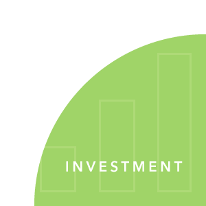 investment icon